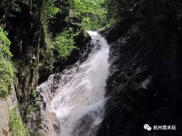 绥阳一男子造谣“某地殡仪馆火化狗，不尊重人类”被处罚